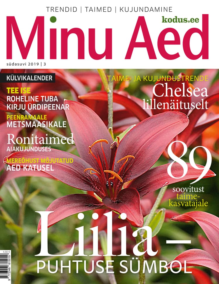 MINU AED SÜDASUVI 2019