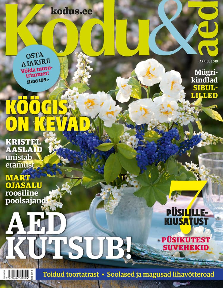 KODU&AED APRILL 2019