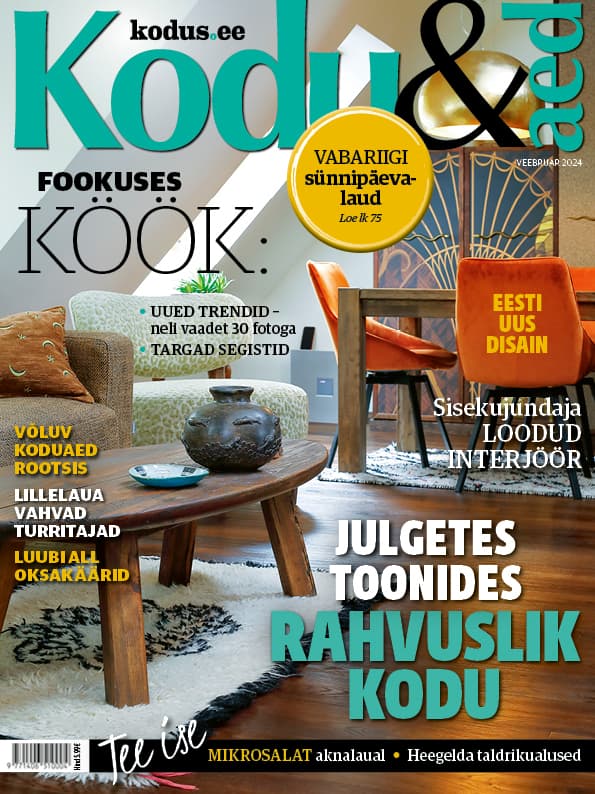 KODU & AED VEEBRUAR 2024