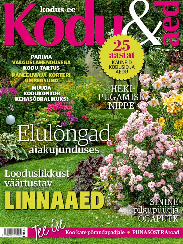 KODU & AED AUGUST 2024