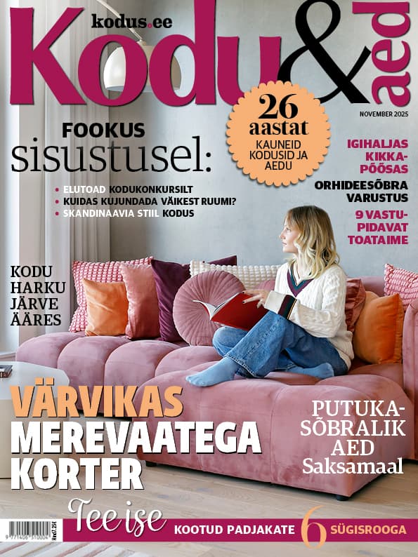 KODU & AED NOVEMBER 2025