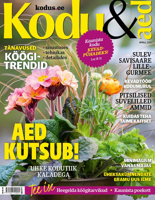 KODU&AED APRILL 2021