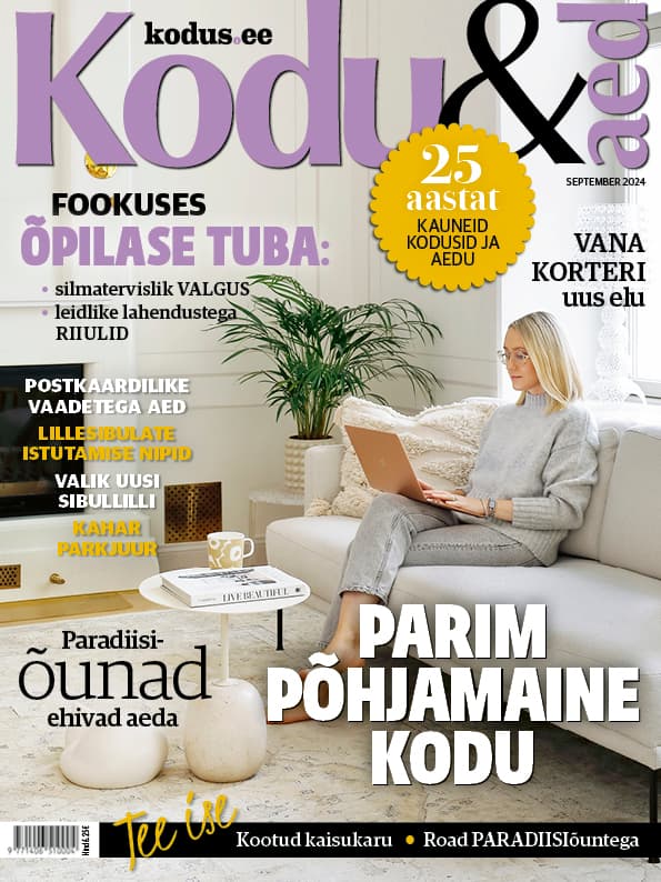 KODU & AED SEPTEMBER 2024