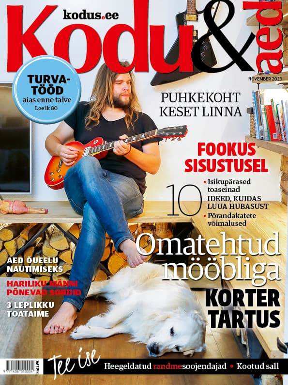 KODU & AED NOVEMBER 2023