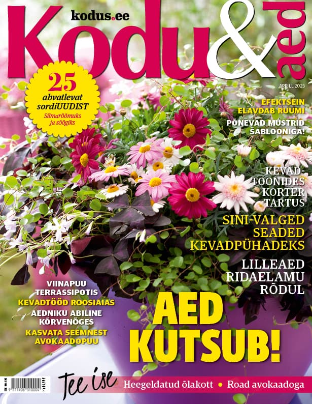 KODU & AED APRILL 2023