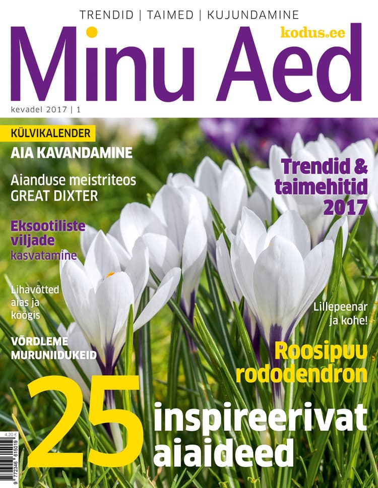 Minu Aed kevad 2017