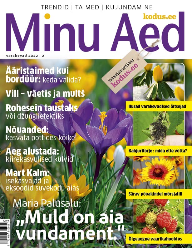 MINU AED VARAKEVAD 2022