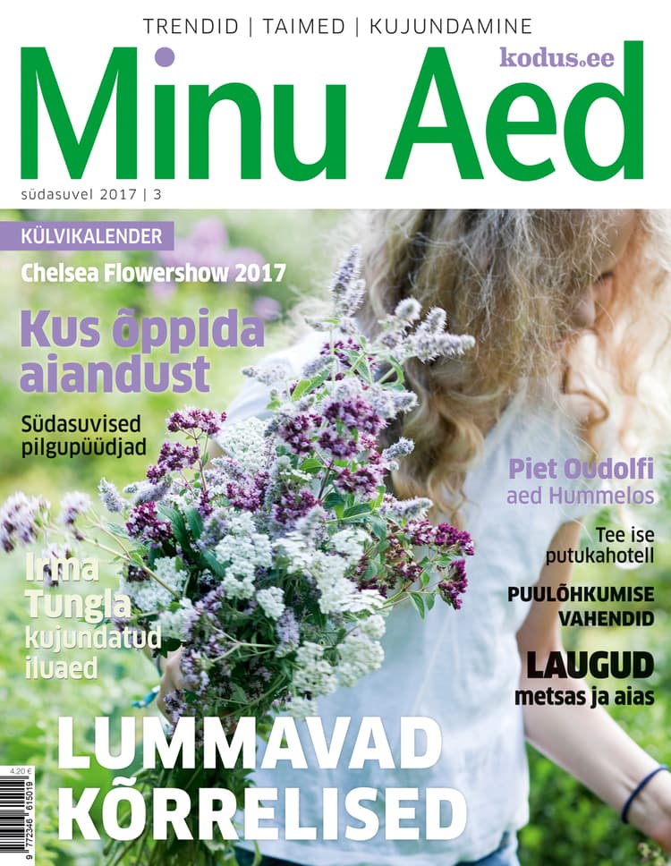 Minu aed südasuvi 2017