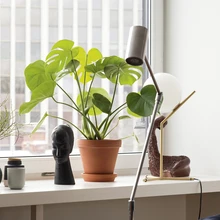 Esimese asjana sätiti elutoas paika väärikas helisüsteem ja kõlarid. Suurte akende ette kavandati ekstralai aknalaud, mis mahutab mitmeid toataimi ja vaase-vaagnaid.