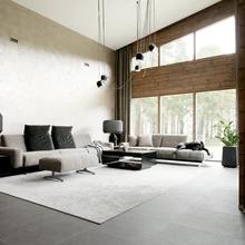 Avara ja valgusküllase elutoa lagede kõrgus ulatub viie meetrini.