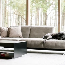 Mugav diivan Rolf Benz 50, kus armastab lõõgastuda ka pere neljajalgne liige, leiti sisustussalongist Now.