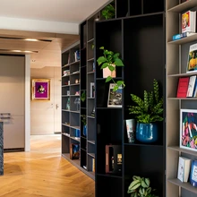 Raamaturiiuli taha on peidetud koduhoiu panipanik.