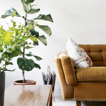 Skandinaavia vanamööbel sobib ajastutruu interjööriga.